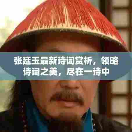 张廷玉最新诗词赏析，领略诗词之美，尽在一诗中