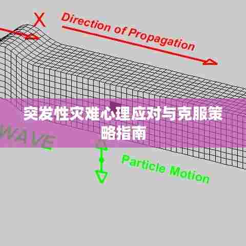 突发性灾难心理应对与克服策略指南