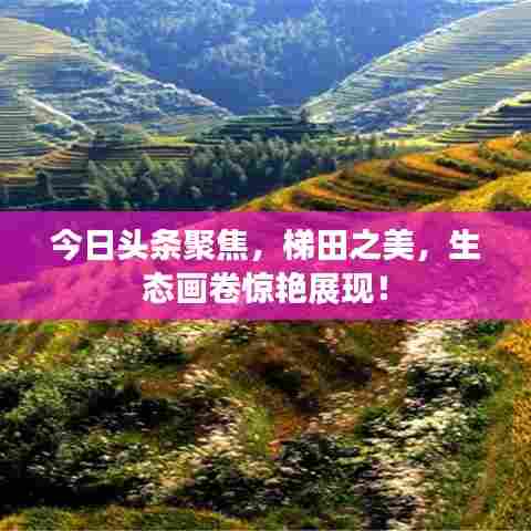 今日头条聚焦，梯田之美，生态画卷惊艳展现！