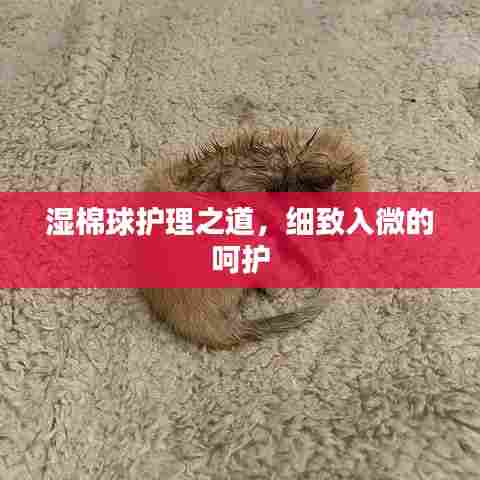 湿棉球护理之道，细致入微的呵护