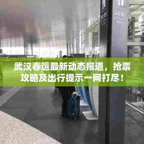 武汉春运最新动态报道，抢票攻略及出行提示一网打尽！