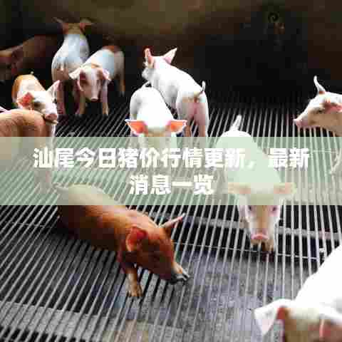 汕尾今日猪价行情更新，最新消息一览