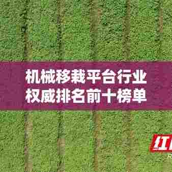 机械移栽平台行业权威排名前十榜单揭晓！