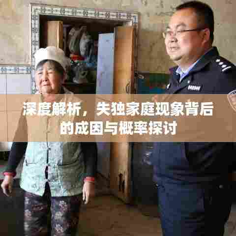 深度解析，失独家庭现象背后的成因与概率探讨
