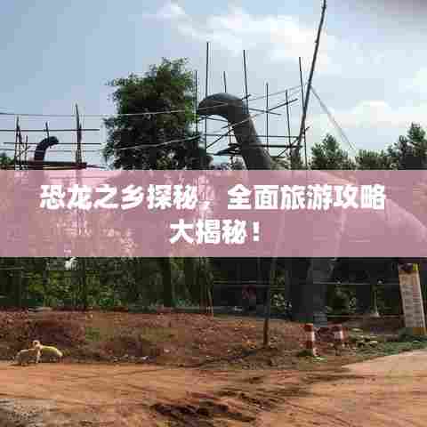 恐龙之乡探秘，全面旅游攻略大揭秘！