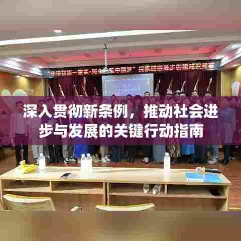 深入贯彻新条例，推动社会进步与发展的关键行动指南