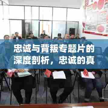 忠诚与背叛专题片的深度剖析，忠诚的真谛与背叛的警醒