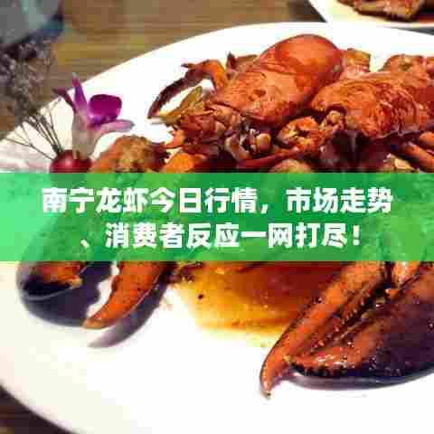 南宁龙虾今日行情，市场走势、消费者反应一网打尽！