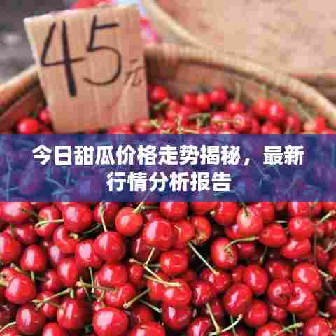 今日甜瓜价格走势揭秘，最新行情分析报告