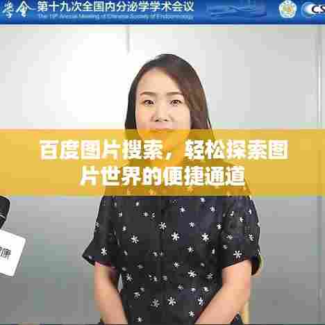 百度图片搜索，轻松探索图片世界的便捷通道