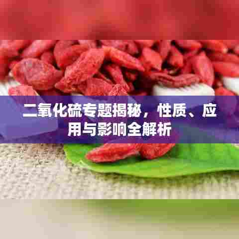 二氧化硫专题揭秘，性质、应用与影响全解析