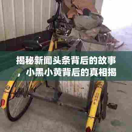 揭秘新闻头条背后的故事，小黑小黄背后的真相揭秘