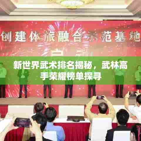 新世界武术排名揭秘，武林高手荣耀榜单探寻