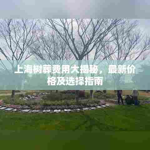 上海树葬费用大揭秘，最新价格及选择指南