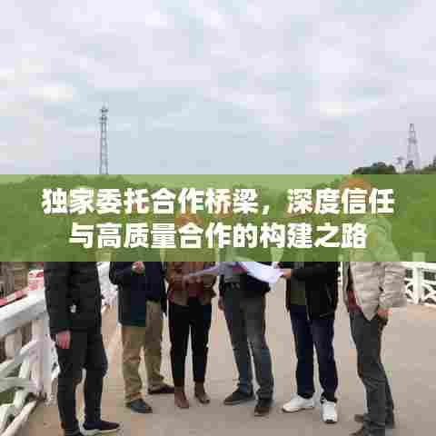 独家委托合作桥梁，深度信任与高质量合作的构建之路