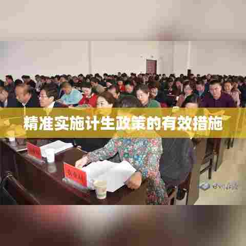精准实施计生政策的有效措施