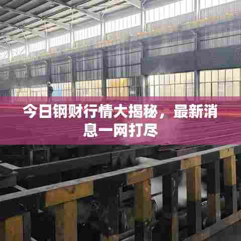 今日钢财行情大揭秘，最新消息一网打尽