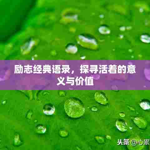 励志经典语录，探寻活着的意义与价值