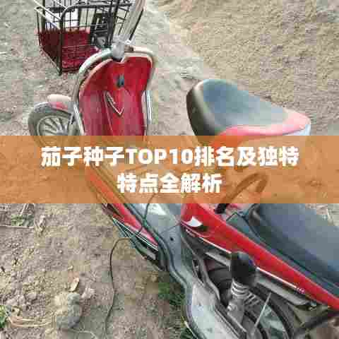 茄子种子TOP10排名及独特特点全解析