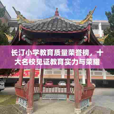 长汀小学教育质量荣誉榜，十大名校见证教育实力与荣耀