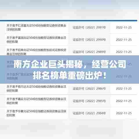 南方企业巨头揭秘，经营公司排名榜单重磅出炉！