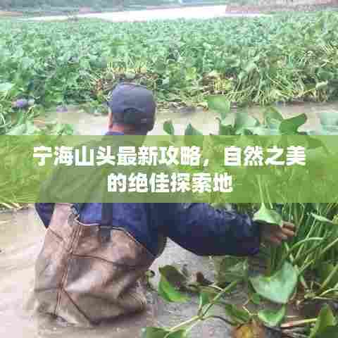 宁海山头最新攻略，自然之美的绝佳探索地