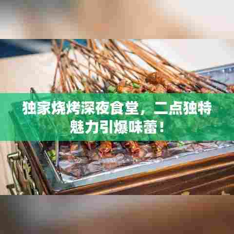 独家烧烤深夜食堂，二点独特魅力引爆味蕾！