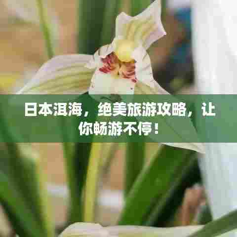 日本洱海，绝美旅游攻略，让你畅游不停！
