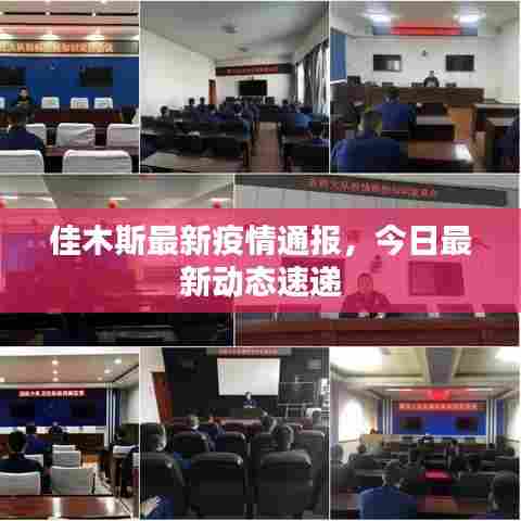 佳木斯最新疫情通报，今日最新动态速递