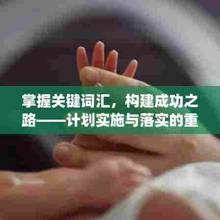 掌握关键词汇，构建成功之路——计划实施与落实的重要性