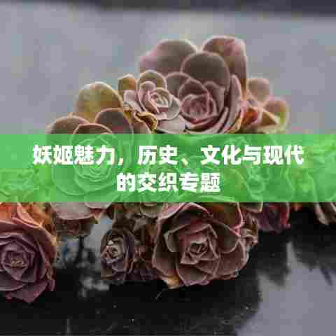 妖姬魅力，历史、文化与现代的交织专题
