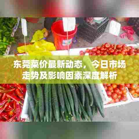 东莞菜价最新动态，今日市场走势及影响因素深度解析