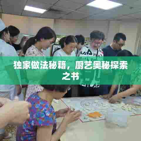 独家做法秘籍，厨艺奥秘探索之书