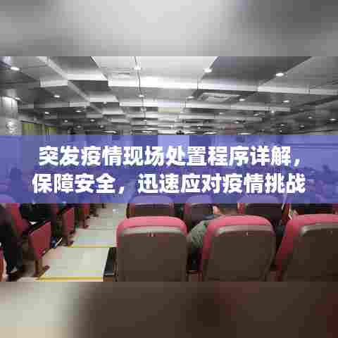 突发疫情现场处置程序详解，保障安全，迅速应对疫情挑战！