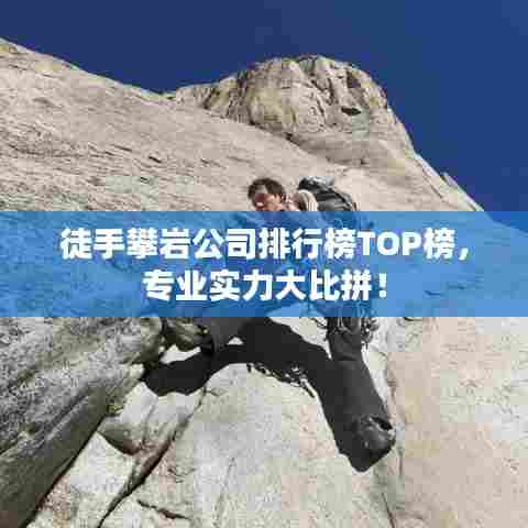 徒手攀岩公司排行榜TOP榜，专业实力大比拼！