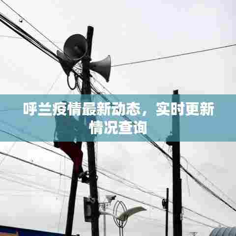 呼兰疫情最新动态，实时更新情况查询