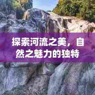 探索河流之美，自然之魅力的独特视角
