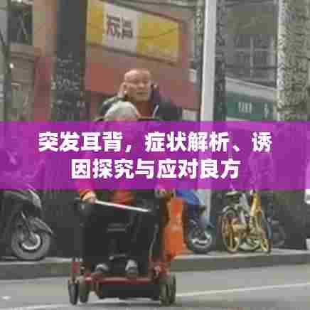 突发耳背，症状解析、诱因探究与应对良方