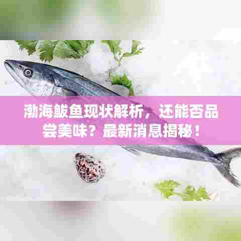渤海鲅鱼现状解析，还能否品尝美味？最新消息揭秘！