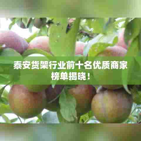 泰安货架行业前十名优质商家榜单揭晓！