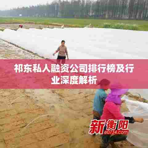 祁东私人融资公司排行榜及行业深度解析