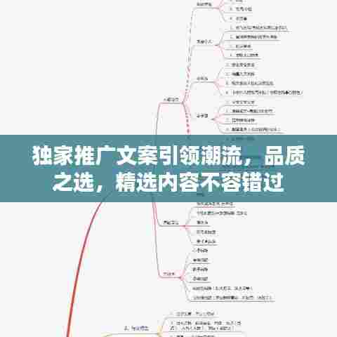 独家推广文案引领潮流，品质之选，精选内容不容错过