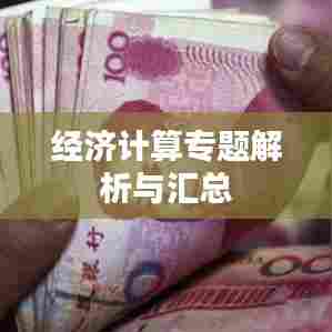 经济计算专题解析与汇总