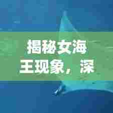 揭秘女海王现象，深度探讨百度下的情感海洋之谜