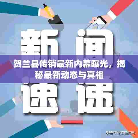 贺兰县传销最新内幕曝光，揭秘最新动态与真相