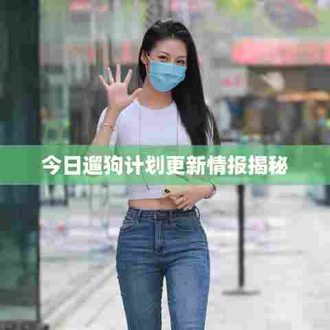 今日遛狗计划更新情报揭秘