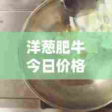 洋葱肥牛今日价格行情实时更新