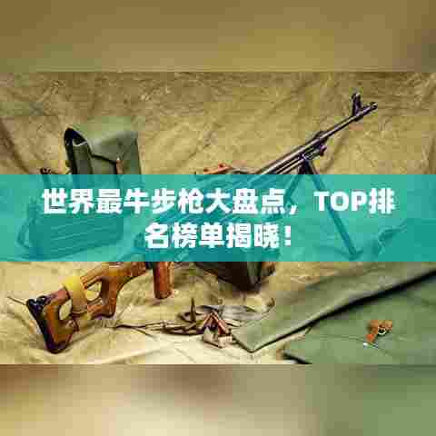 世界最牛步枪大盘点，TOP排名榜单揭晓！