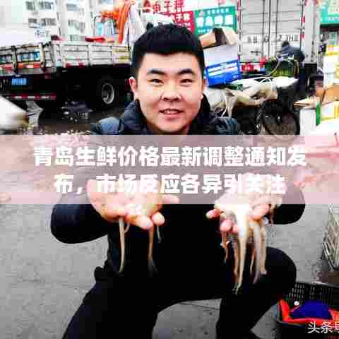 青岛生鲜价格最新调整通知发布，市场反应各异引关注