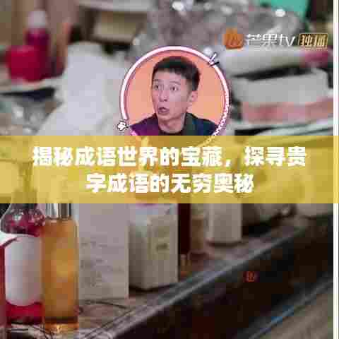 揭秘成语世界的宝藏，探寻贵字成语的无穷奥秘